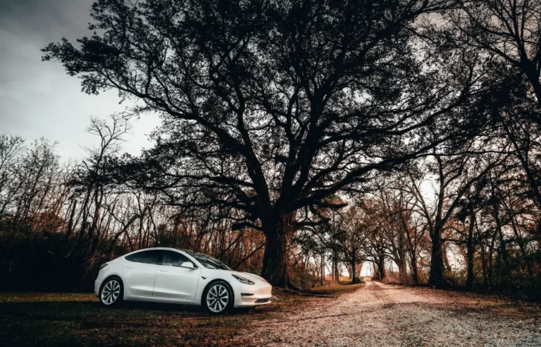 Is Your Tesla Window Not Closing Here is How to Fix It